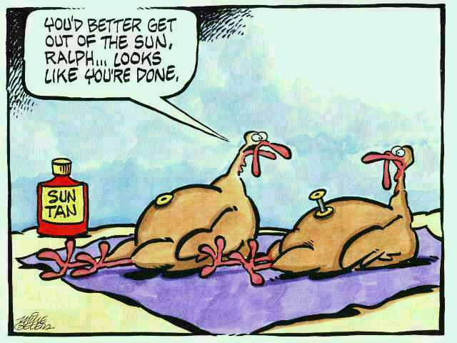 Happy Thanksgiving Cartoon
