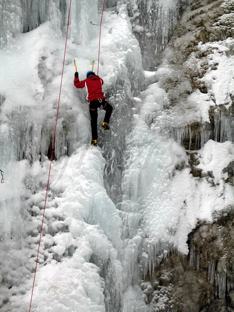 [Pontebba+10.01.2010+203.jpg]