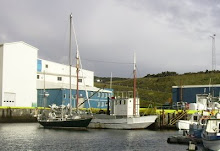 Ara' deg in Vestmann Harbour