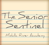 The Senior Sentinel