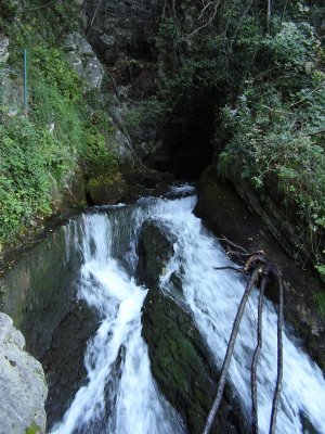 [water+from+the+rock]