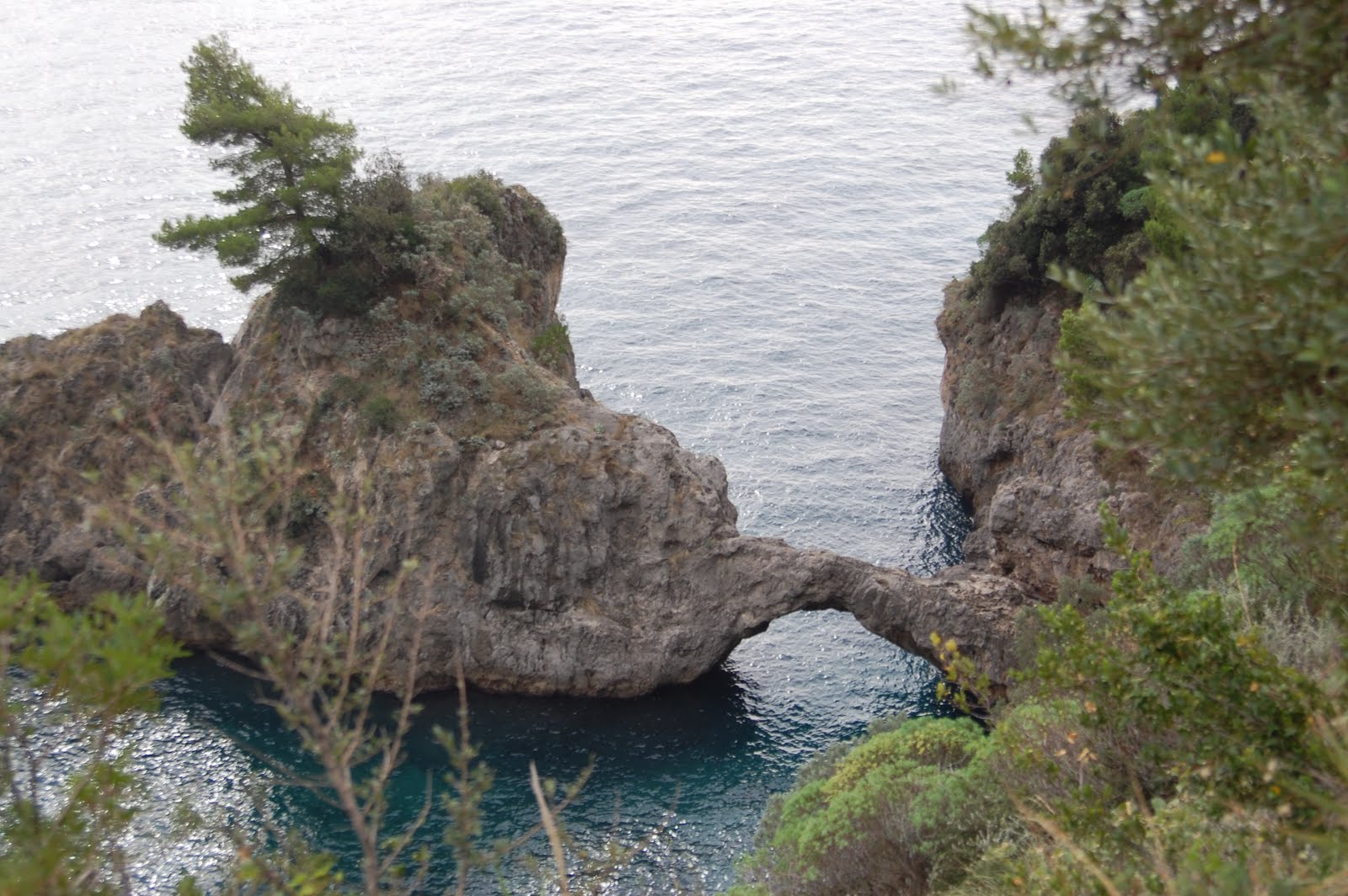 [DSC_0233.JPG]