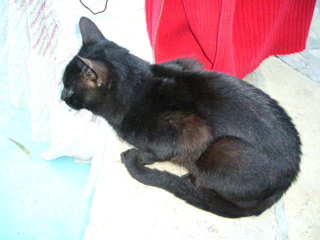 [P1020837.JPG]
