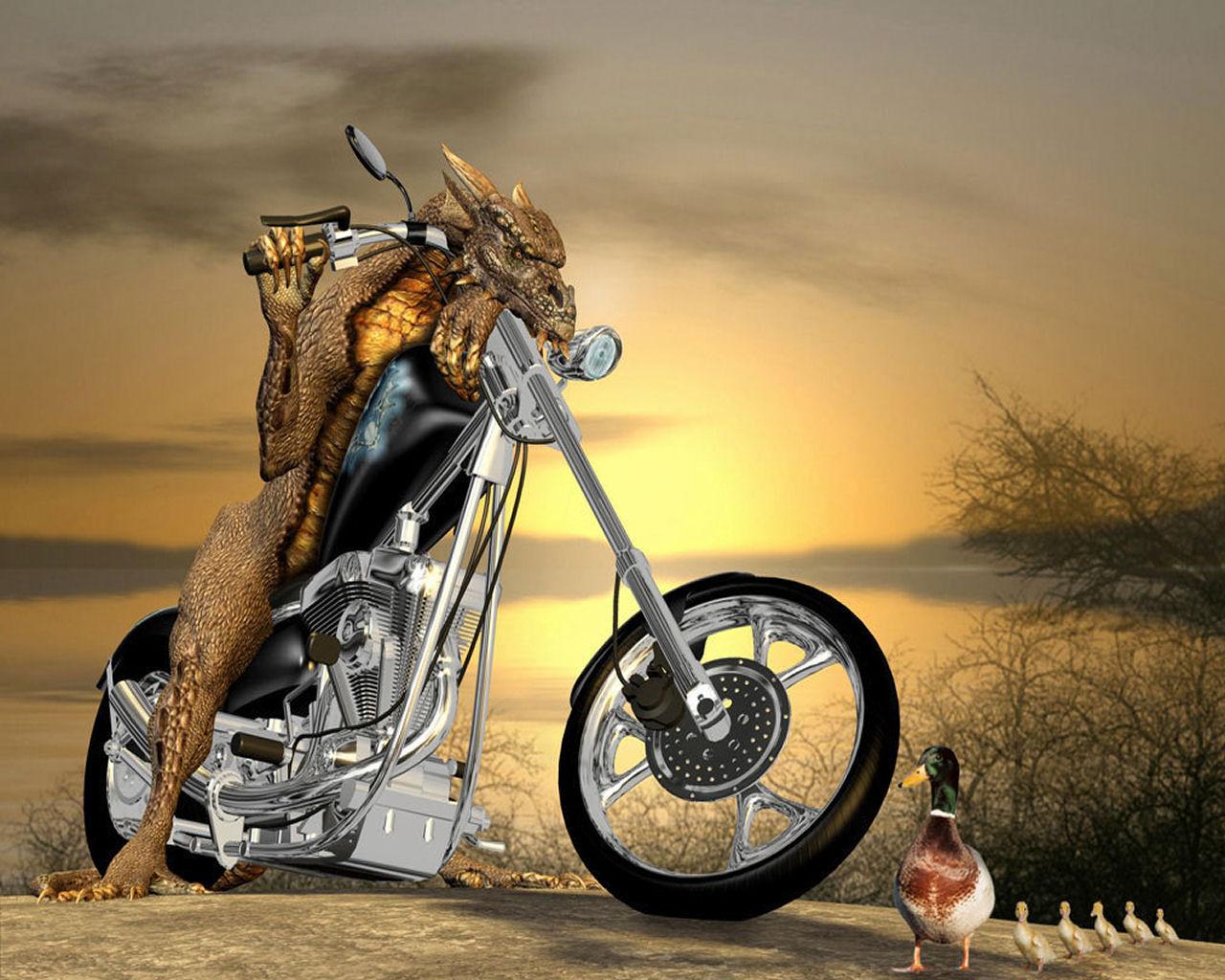 http://1.bp.blogspot.com/_e5a1u7zq5io/TT0bfbquciI/AAAAAAAAAN8/HKdBeumZNgk/s1600/Funny%20Wallpapers%20for%20desktop%20(3).jpg