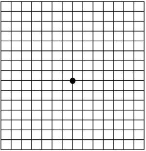 amsler-grid.gif