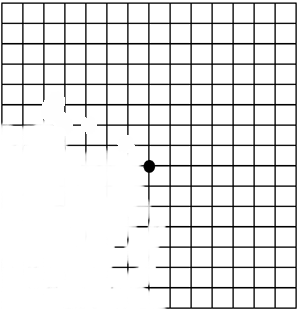 Amsler Grid Chart Pdf