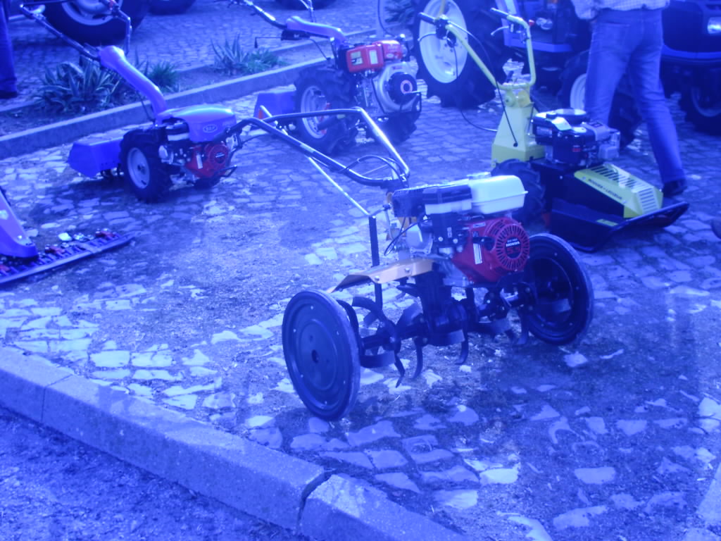 [IMAG0214.JPG]
