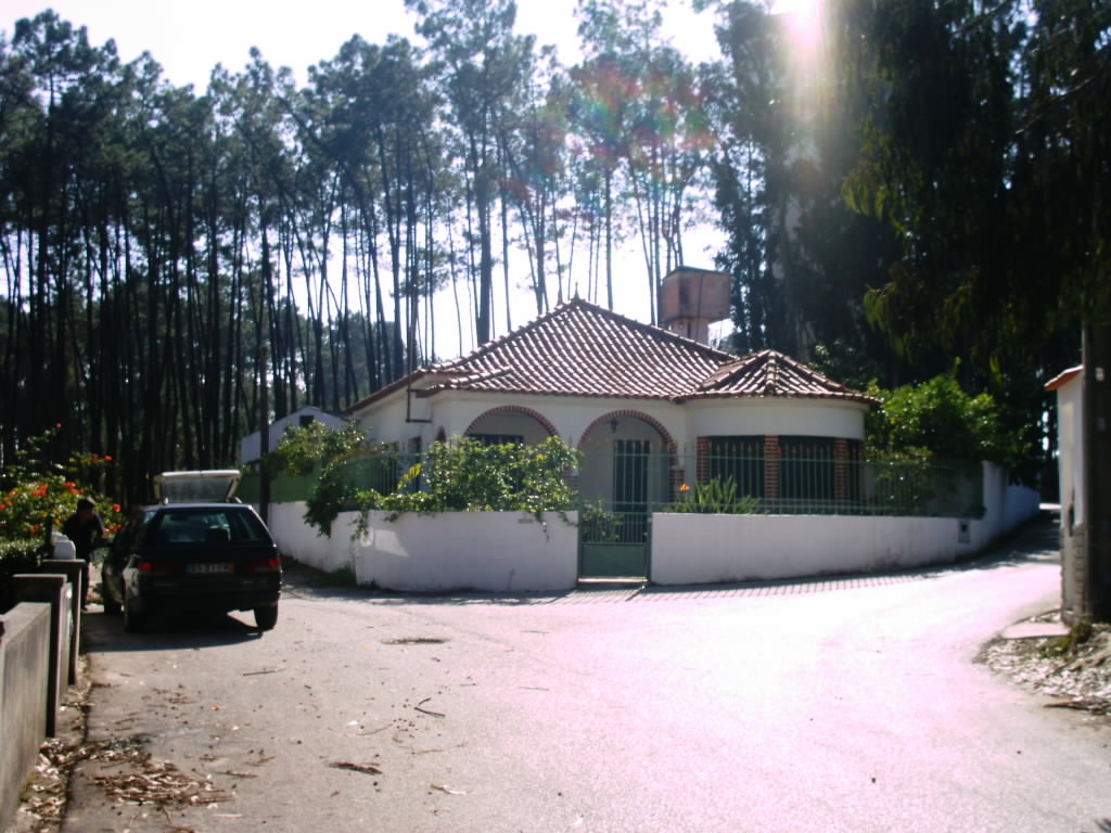 [IMAG0024.JPG]