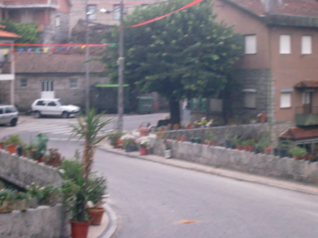 [IMAG0019.JPG]