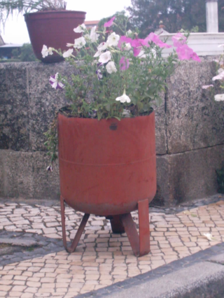 [IMAG0054.JPG]
