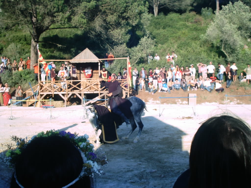 [IMAG0682.JPG]