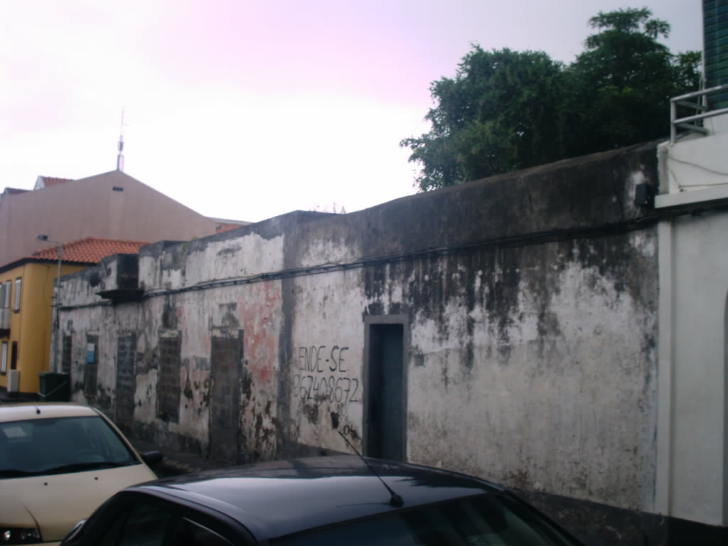 [IMAG0248.JPG]
