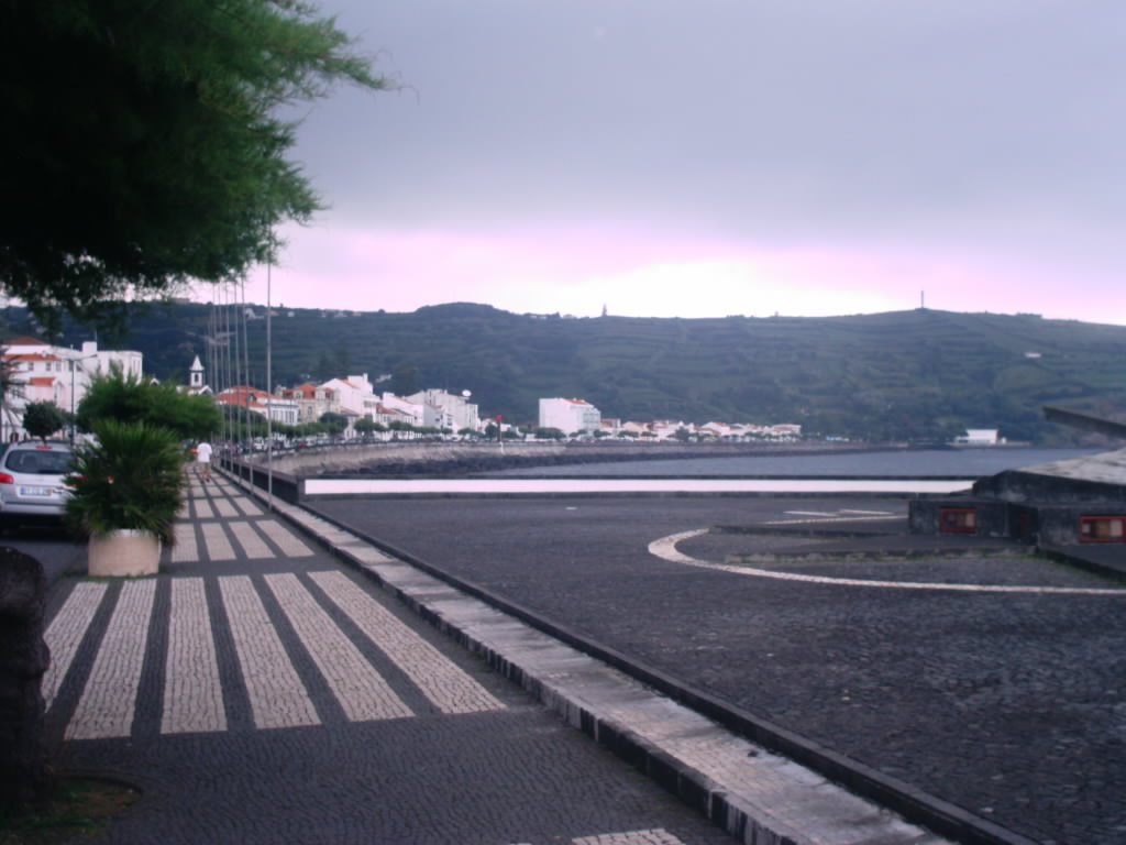 [IMAG0195.JPG]
