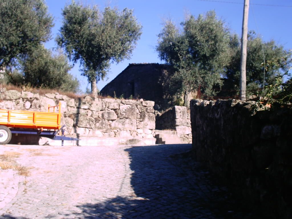 [IMAG0064.JPG]