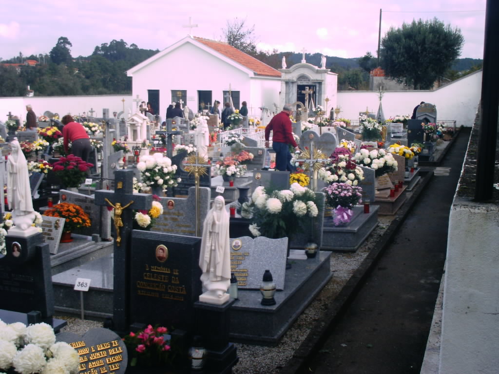 [IMAG0010.JPG]
