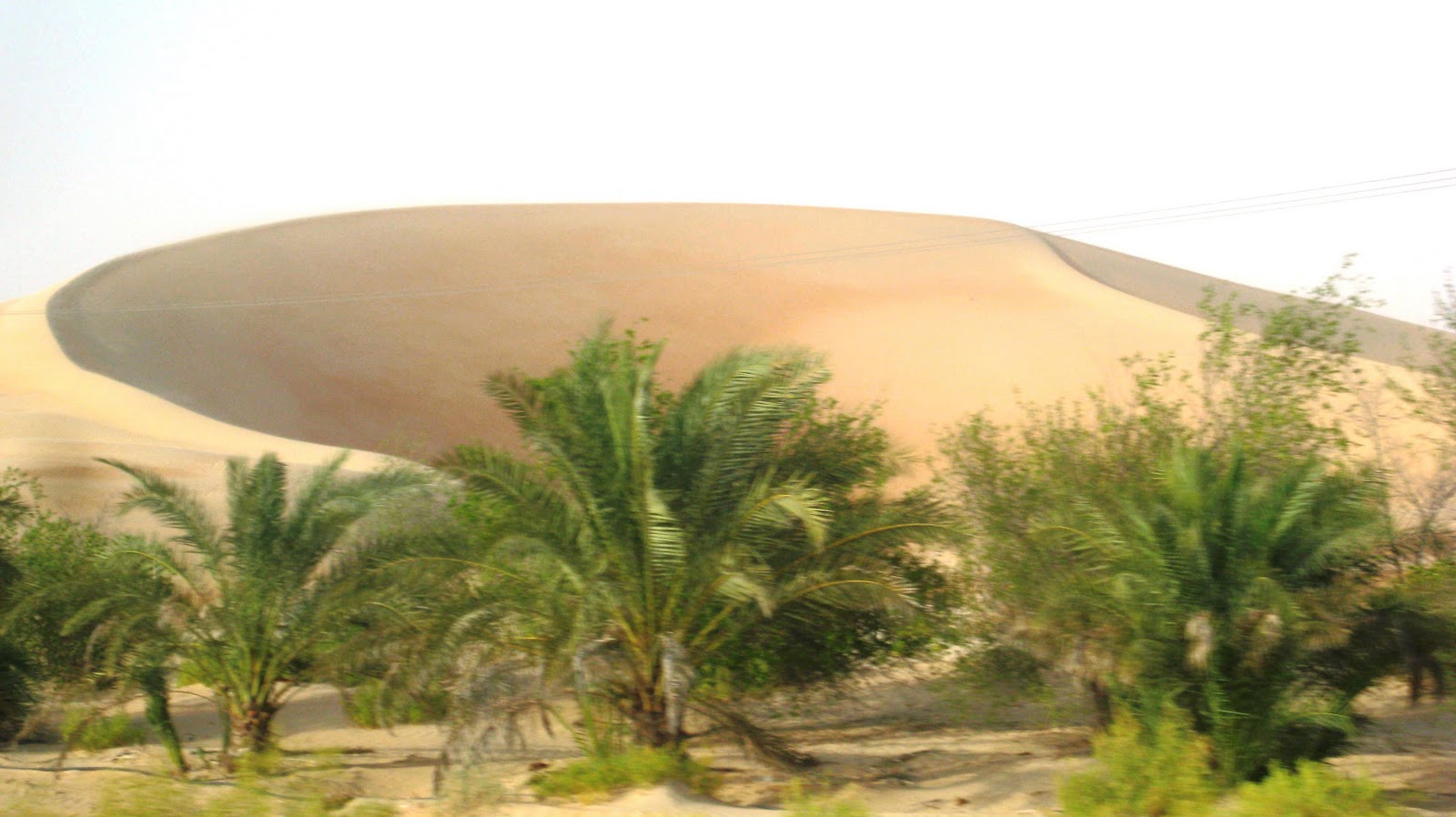 Liwa Oasis