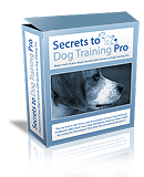 Hot Dog Obedience Training DVDs