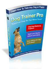 Hot Dog Obedience Training  DVDs