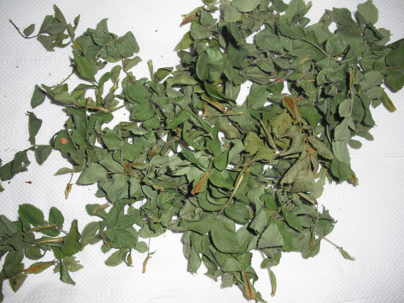 Tarragon & Thyme Dried Rose Leaf Tea