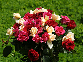 beautiful bouquet wallpapers
