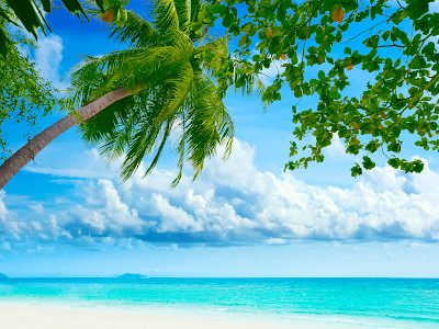 tropical beaches wallpaper. a tropical beach wallpaper hd. tropical beaches wallpaper. a