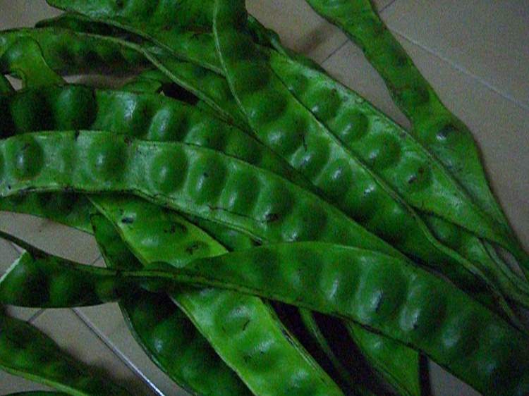 sembangNtalk: Sambal Buah Petai