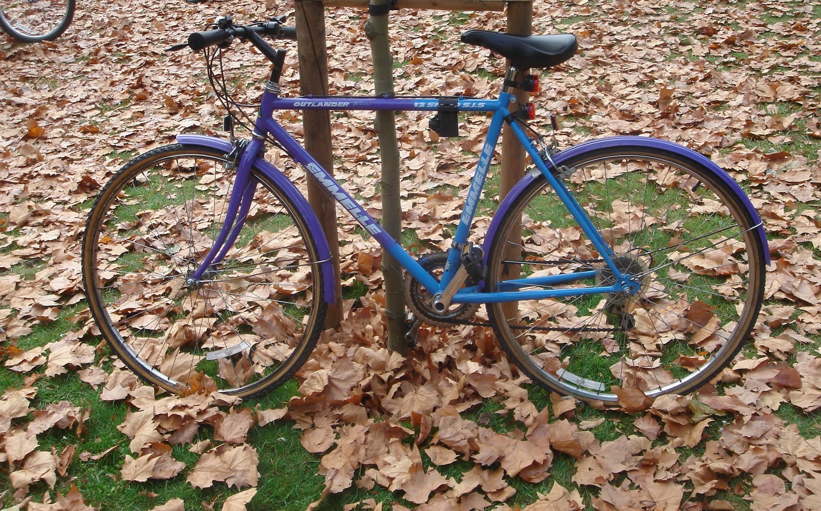 [DSC09189+-+Copy.JPG]