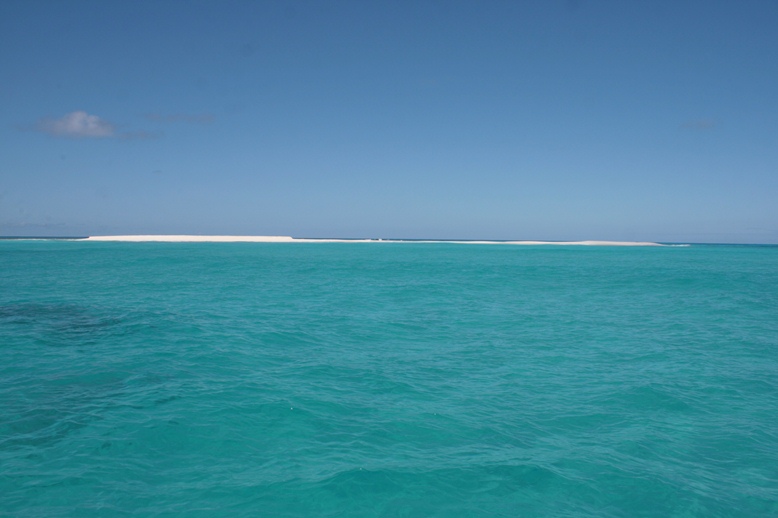 Tern Island Times Disappearing Island and Visitors