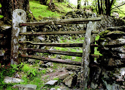 Cumbria Farm Gate