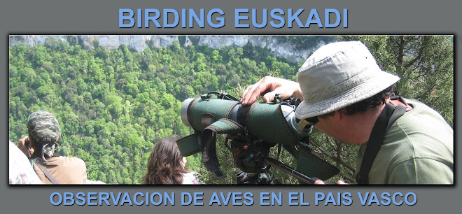 Birding Euskadi