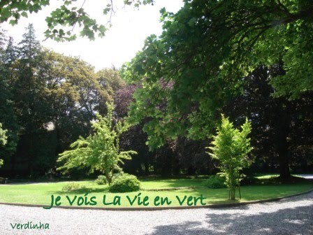 JE VOIS LA VIE EN VERT