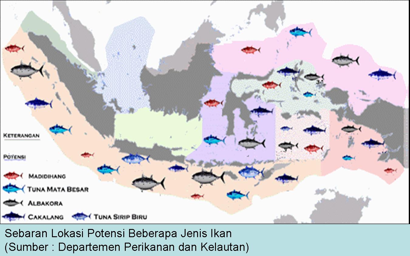 isamas54 Potensi Kelautan dan Perikanan Indonesia