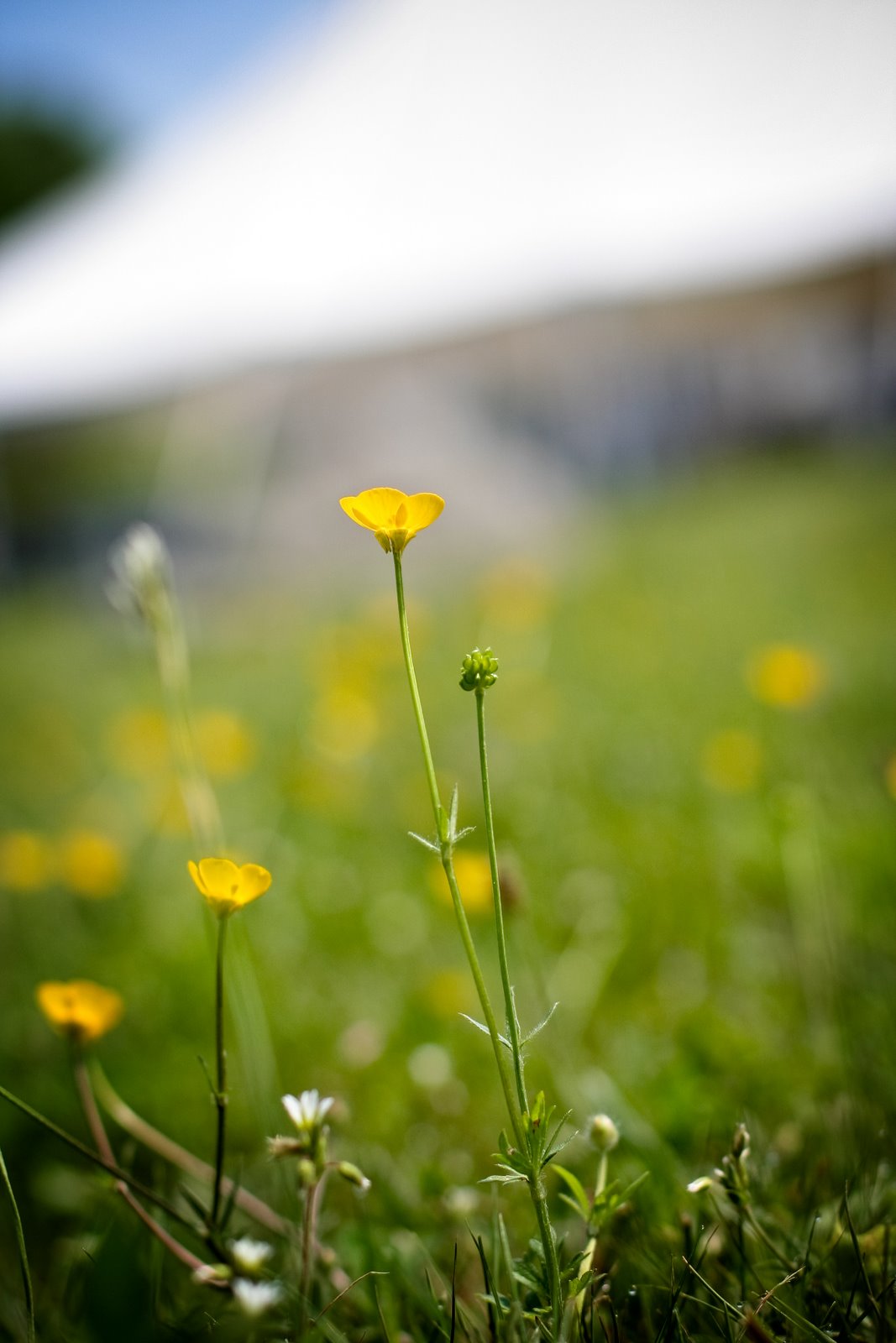 [IMG_2071-Edit.jpg]