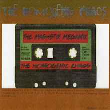ThE hOmOgEnIc ChAoS Megamix For Radio Mashstix