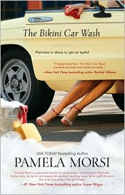 Review: The Bikini Car Wash by Pamela Morsi.