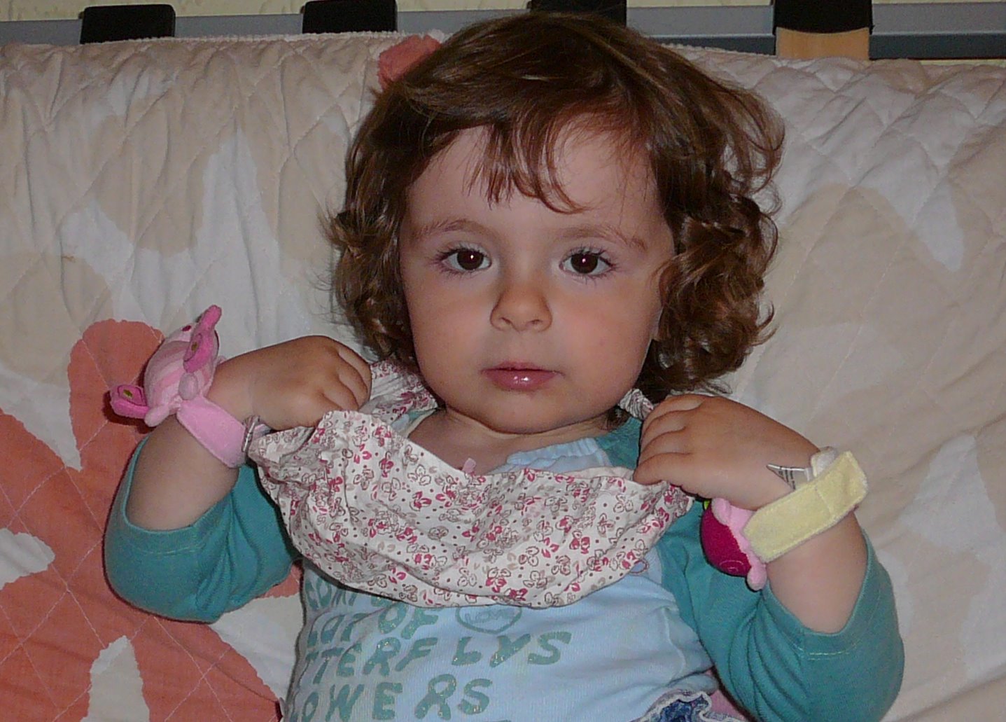 [P1220553-1.JPG]