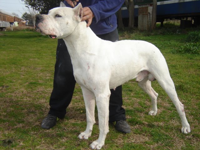 Espiritu de indios mocovies