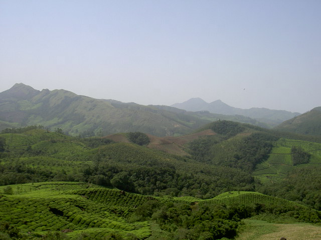 [PICT3751.JPG]