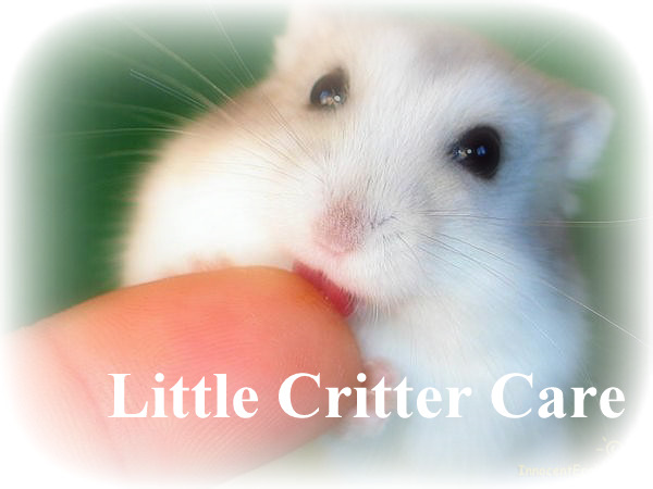 Little Critter Care