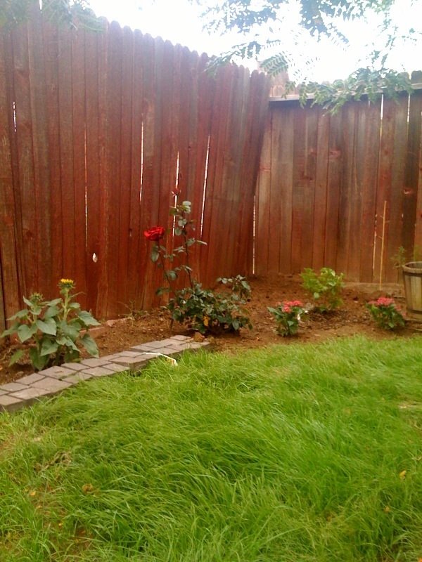 [garden+2.jpg]