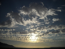 FOTOGRAFIAR ES MI JUGAR