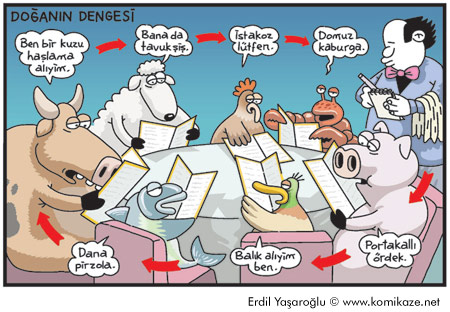 do%25C4%259Fan%25C4%25B1n+dengesi.jpg