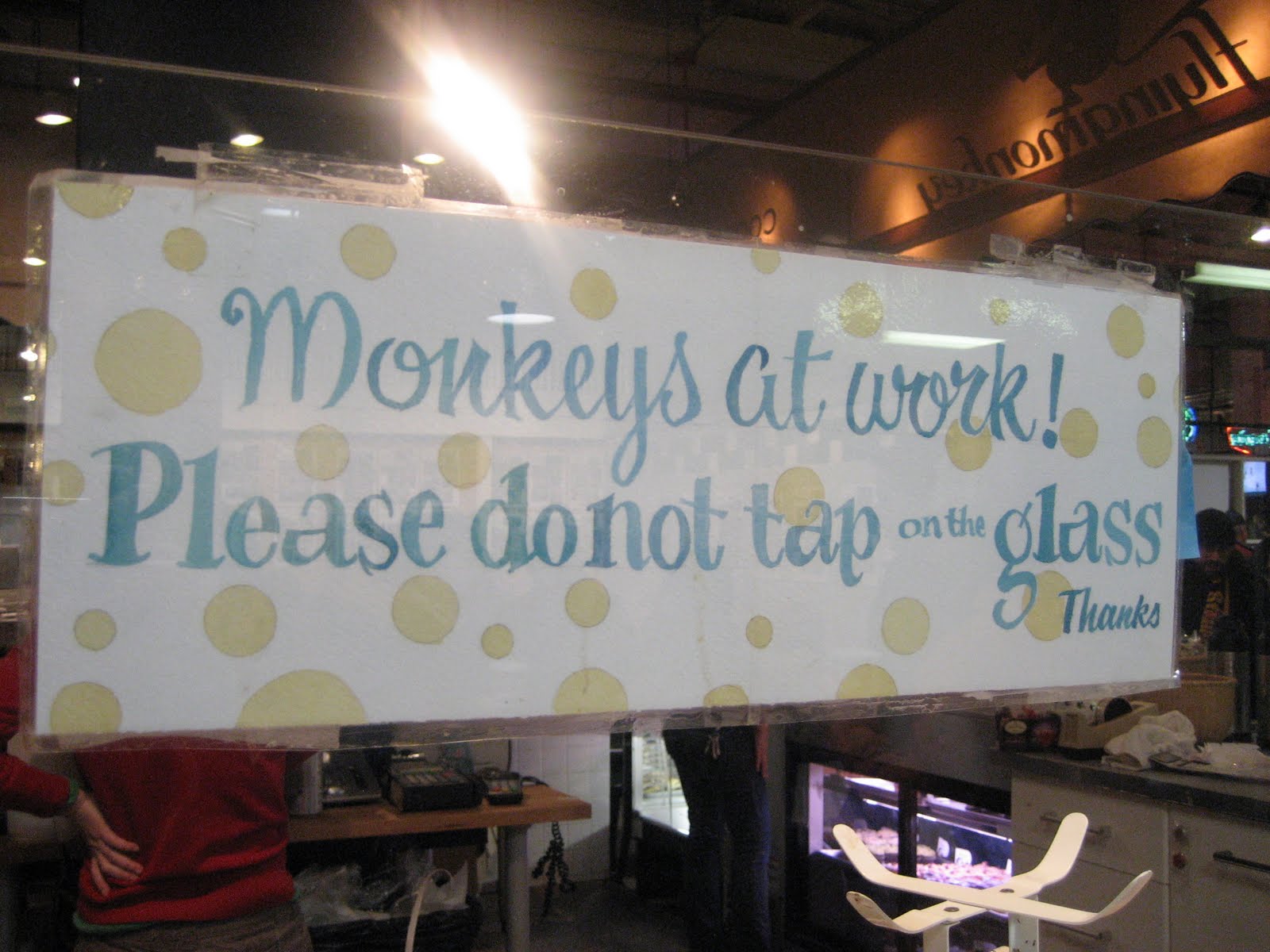 [flymonkey2.JPG]