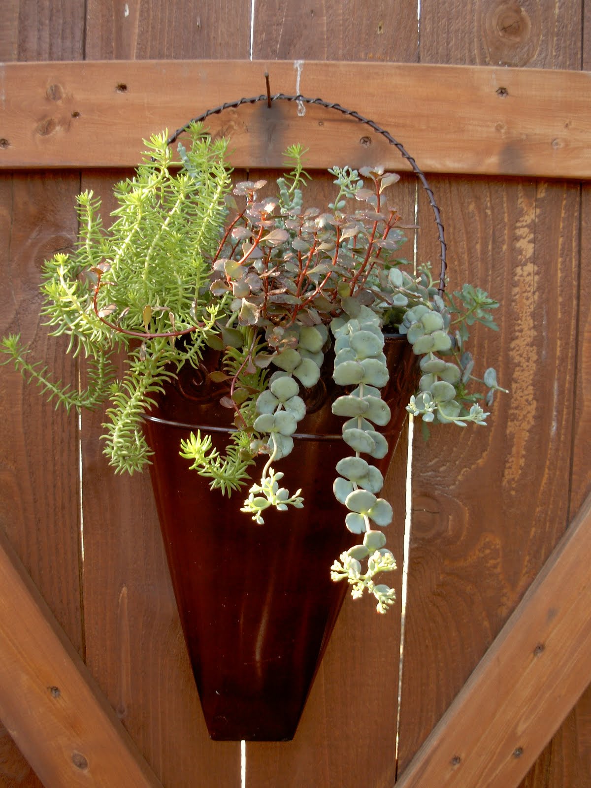 View From My Garden! Garden Easter Baskets!
