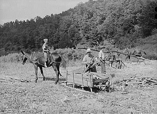 Theoretical Structural Archaeology: Notes & Queries; Sledges