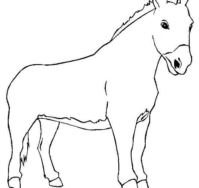 Colorindo com a Dry: Desenho de Mula para colorir