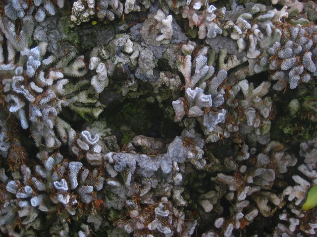 [IMG_5706.jpg]