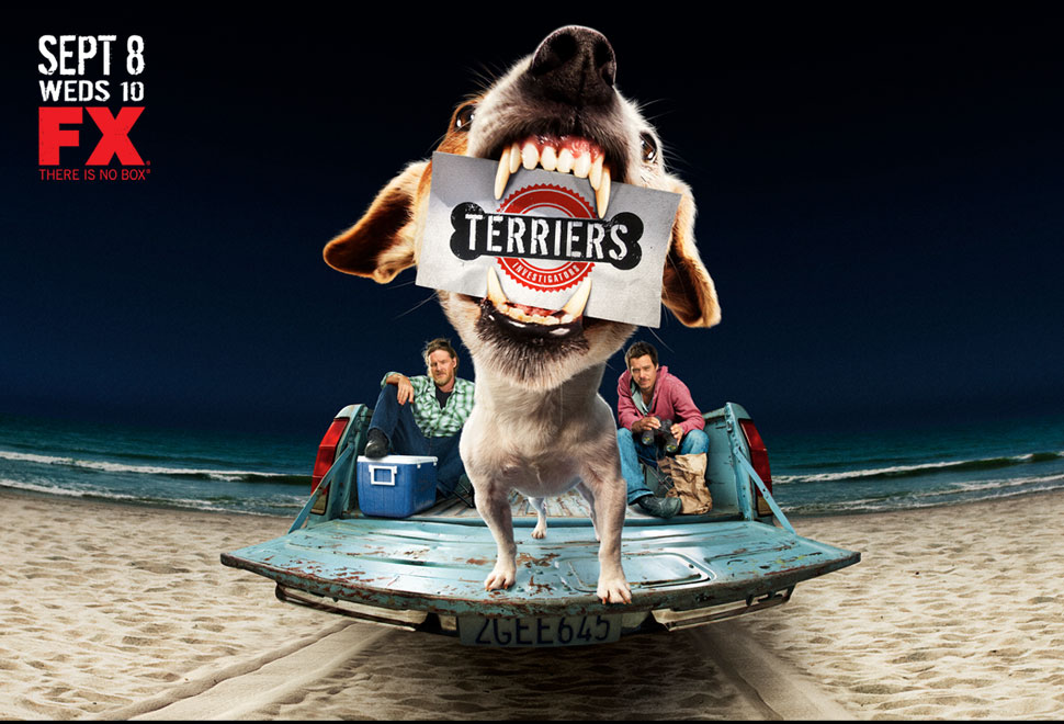 Terriers.jpg