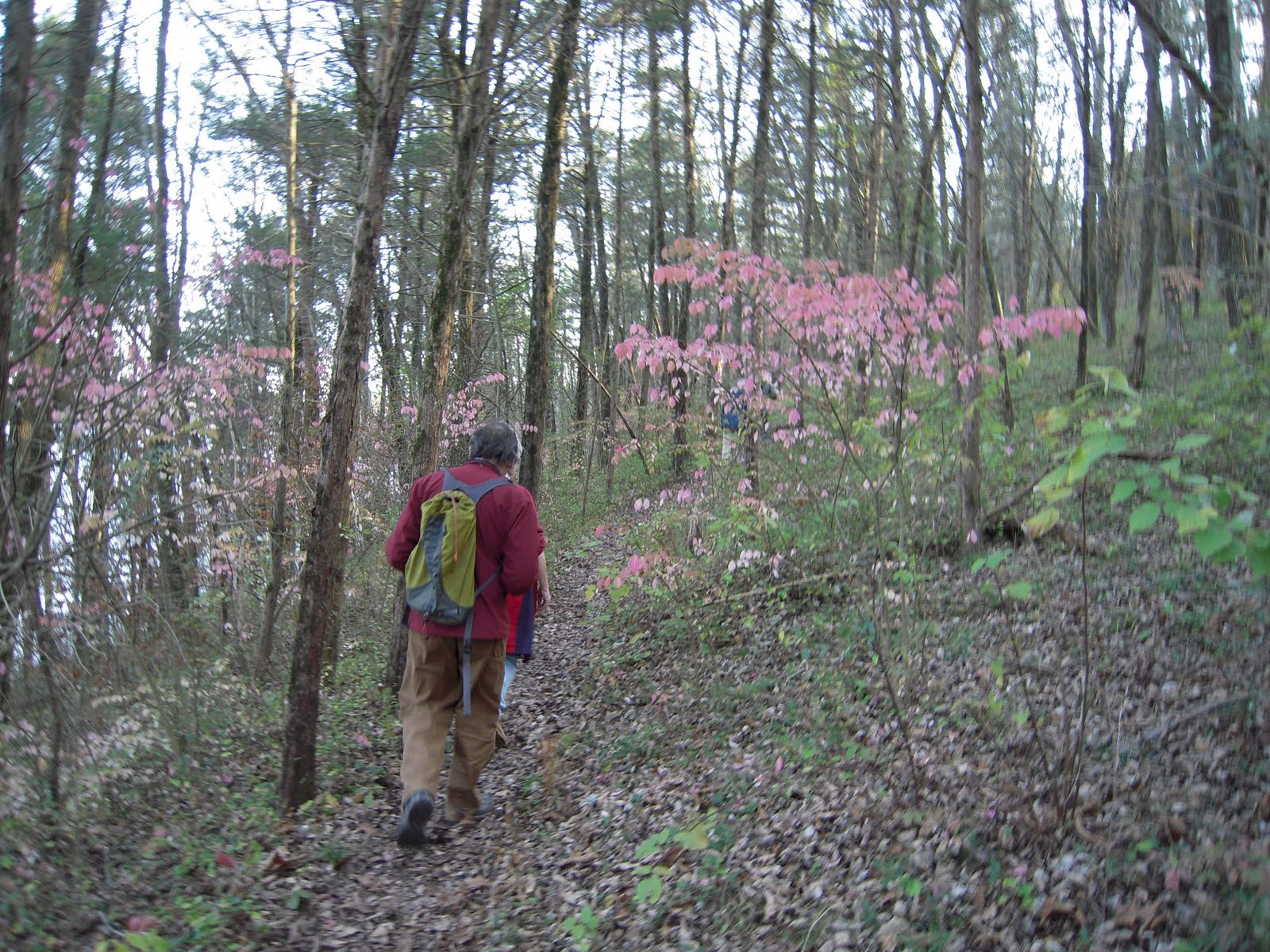 A La Recherche De In Search Of Fall In The Pennsylvania Woods
