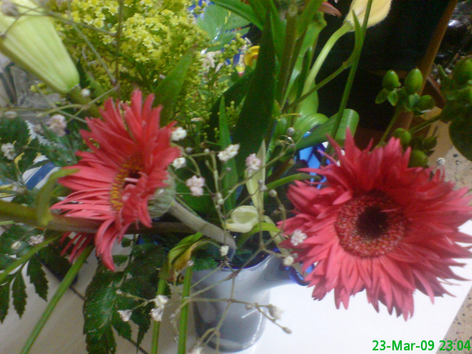 [DSC03823.JPG]
